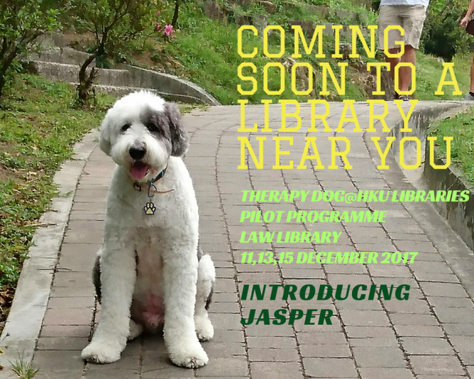 港大圖書館首推駐館治療犬計劃 為香港大專首創 紓解學生壓力