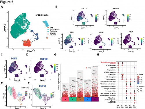 Cell subcluster identification from snRNAseq analysis