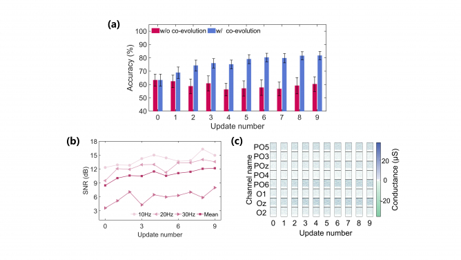 Brain-memristor decoder co-evolution experiment: (a) Brain signal decoding accuracy (b) Signal-to-noise ratio of task-related signal features and (c) Evolution process of the memristor decoder.